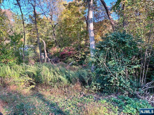 9 Old Woodland Trail - Photo 1