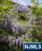 5 Summit Terrace - Photo 44