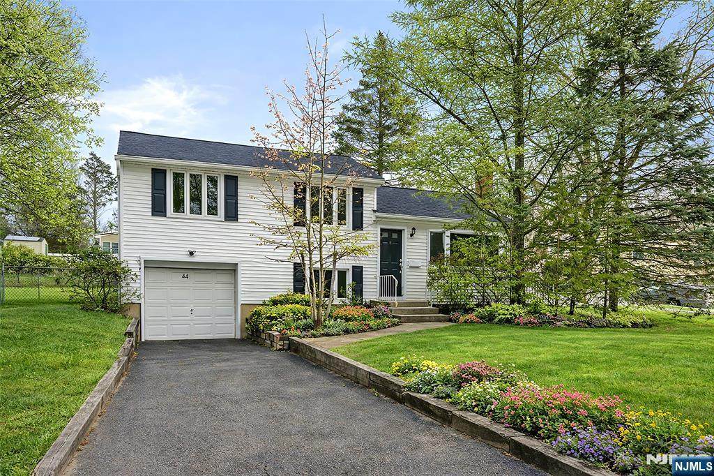 44 Knickerbocker - Photo 1