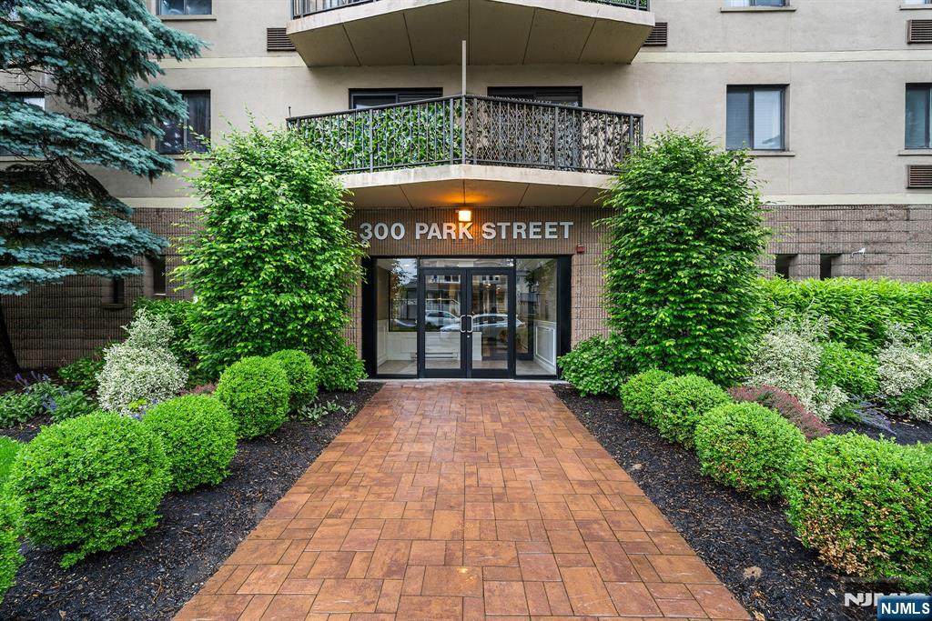 300 Park Street - Photo 1