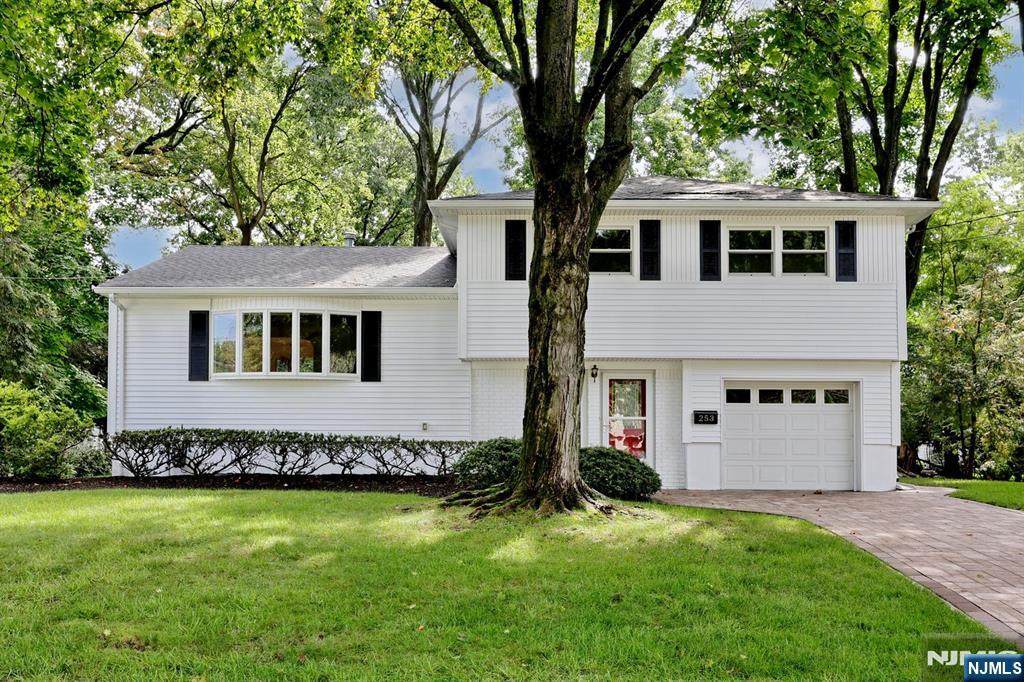253 Jeffer - Photo 1