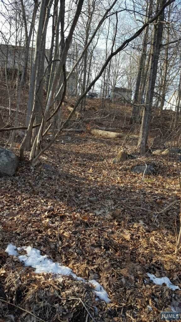 0 Hickory Avenue - Photo 1