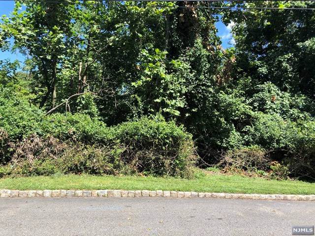 19 Beachmont Terrace - Photo 1