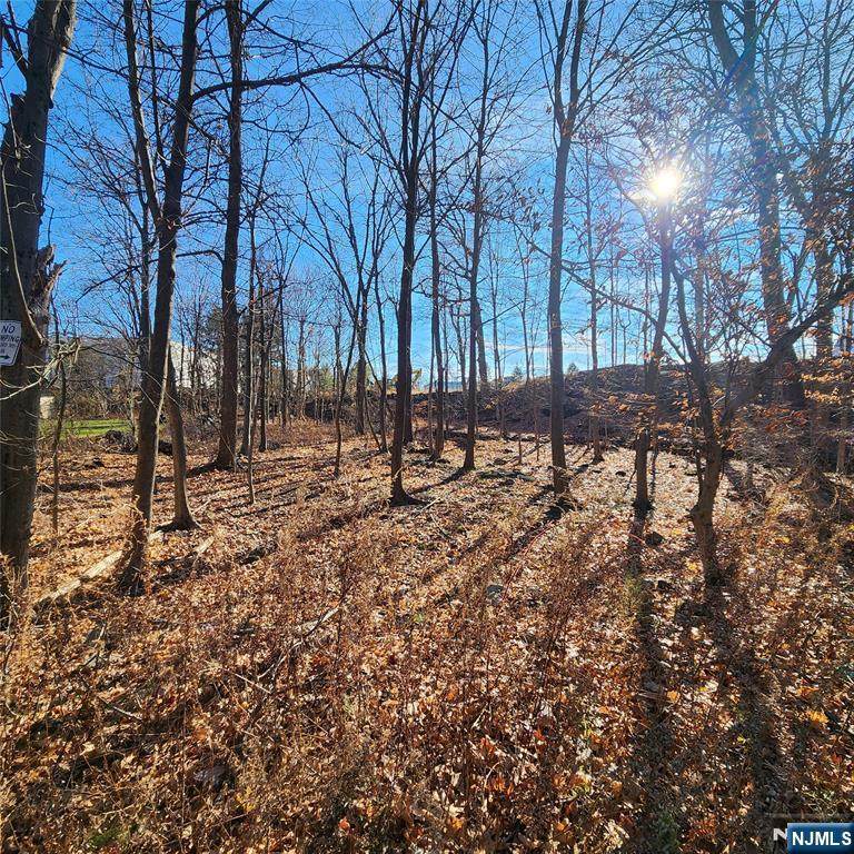 16 Gardiner Street - Photo 1