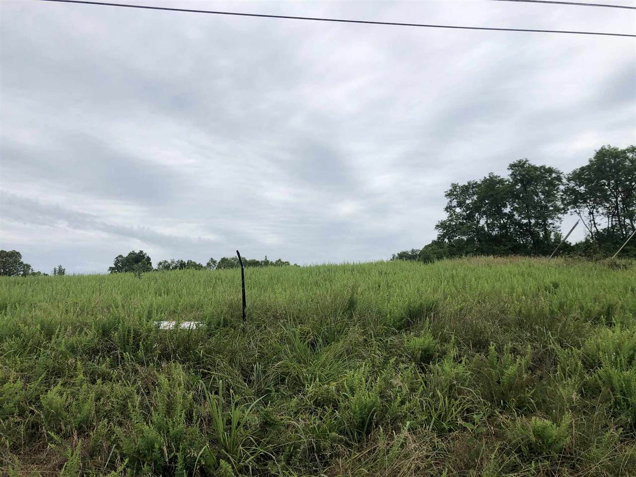 0 Springport Ferry Road - Photo 1