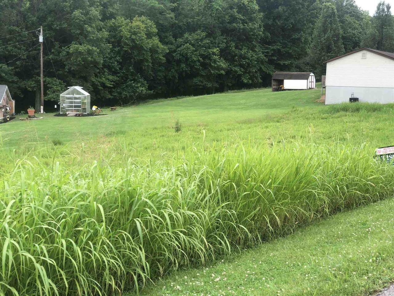 0 Springport Ferry Road - Photo 1