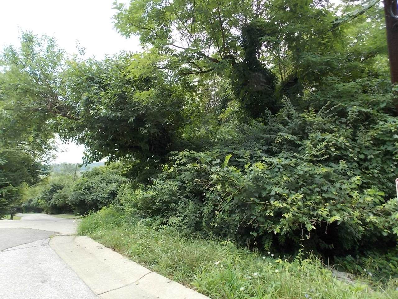 Grandview Avenue - Photo 1