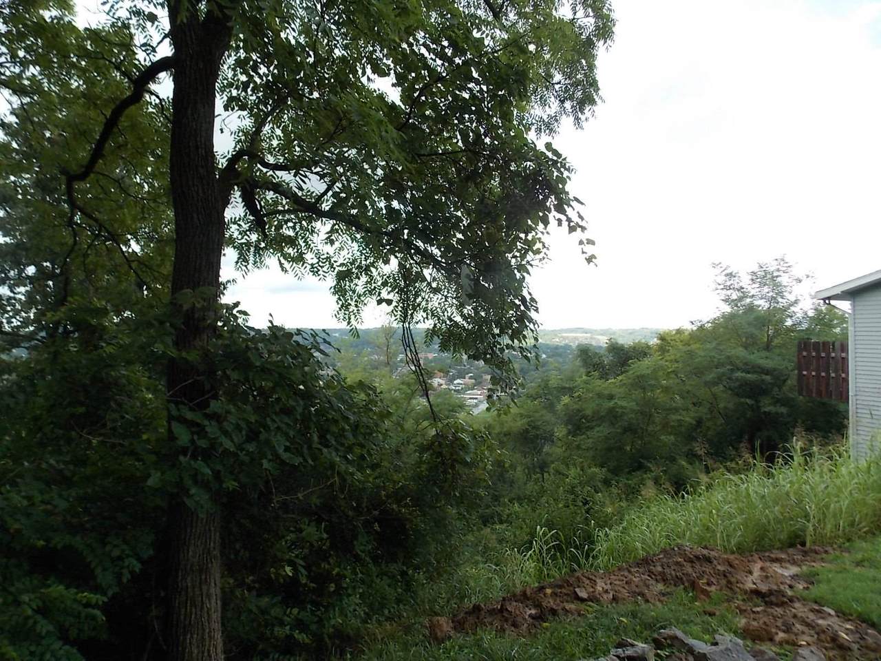 Clifton Avenue - Photo 1