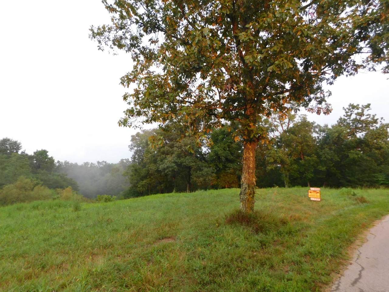 Leaning Oak Road - Photo 1