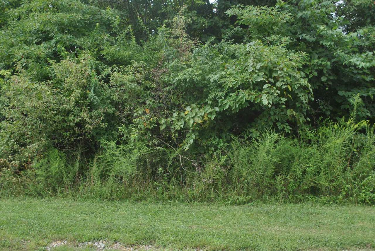 0 Meadowlark Lane - Photo 1