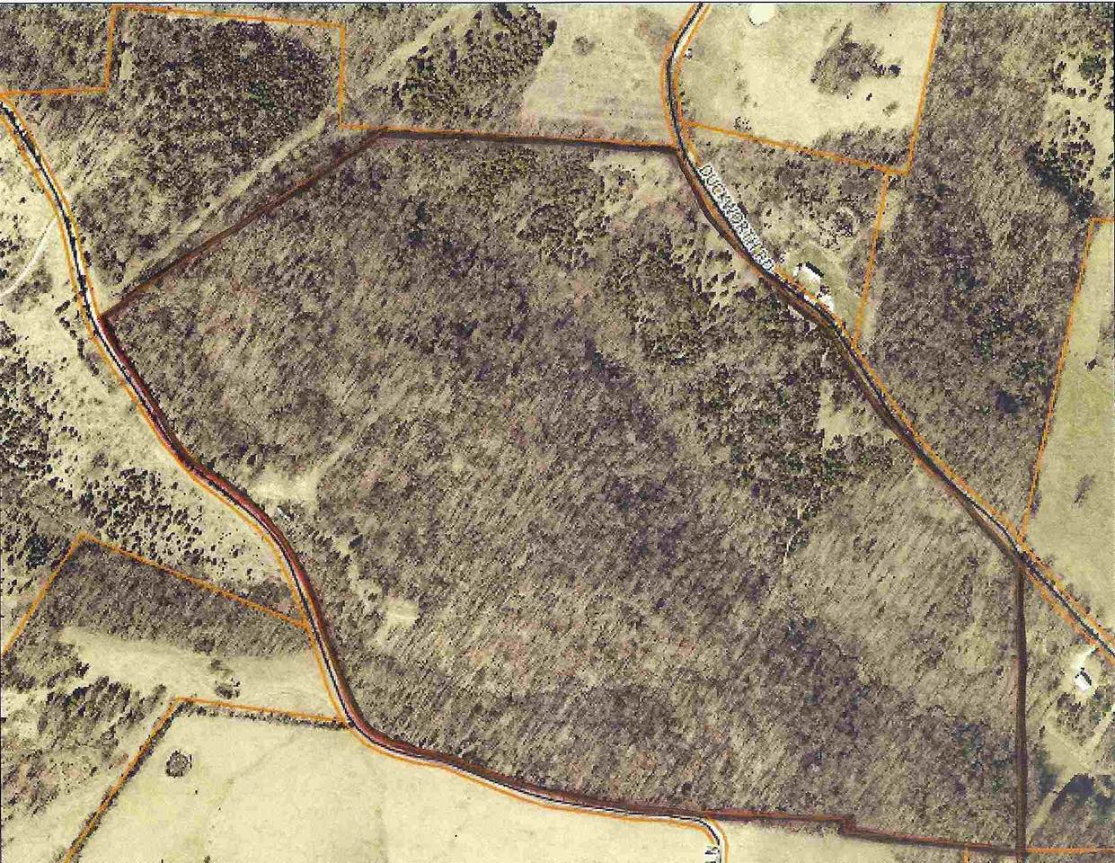 100 Tract Duckworth Road - Photo 1