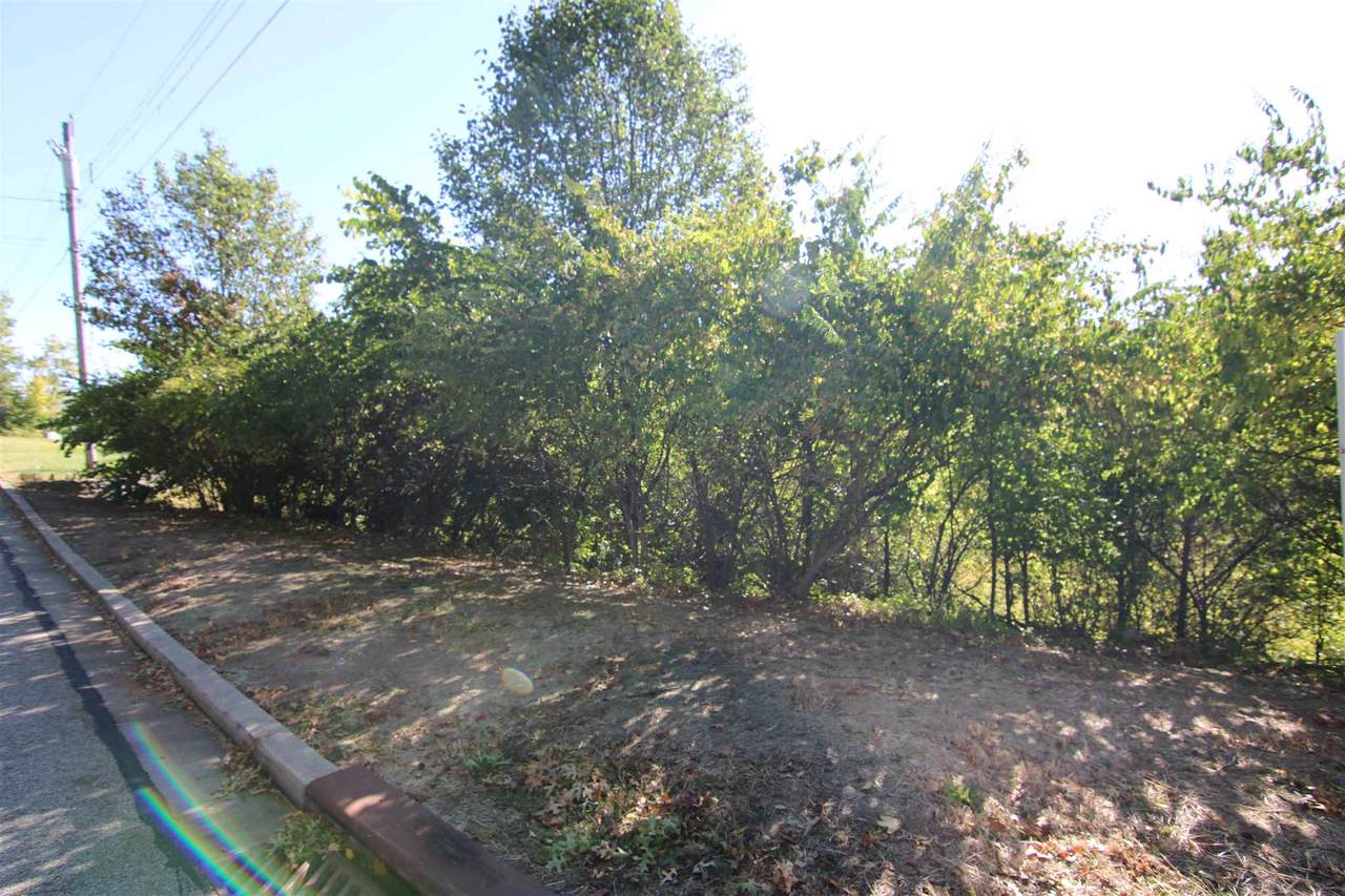 1103 Cecelia Avenue - Photo 1
