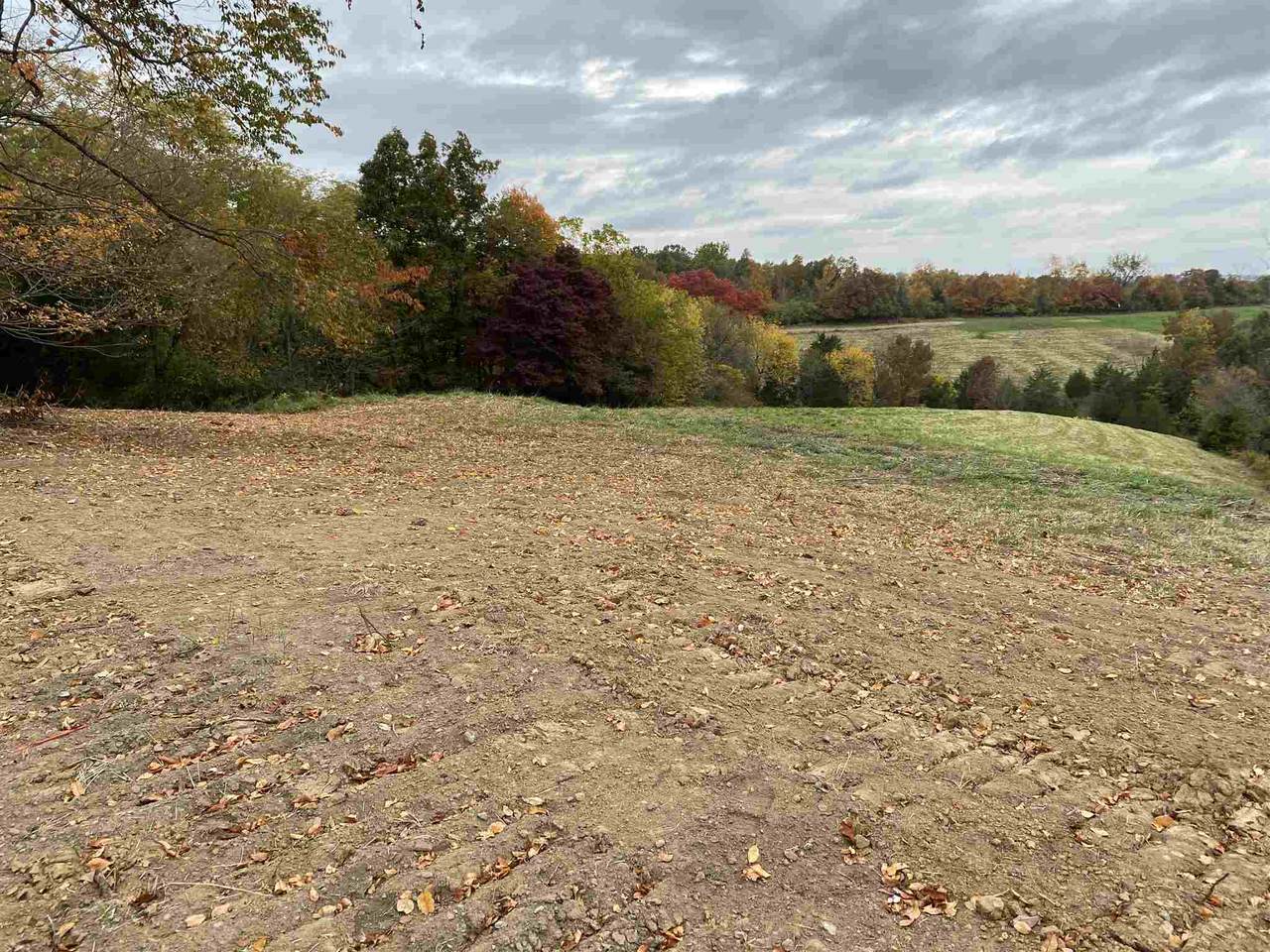 Gardnersville 16.15A Road - Photo 1