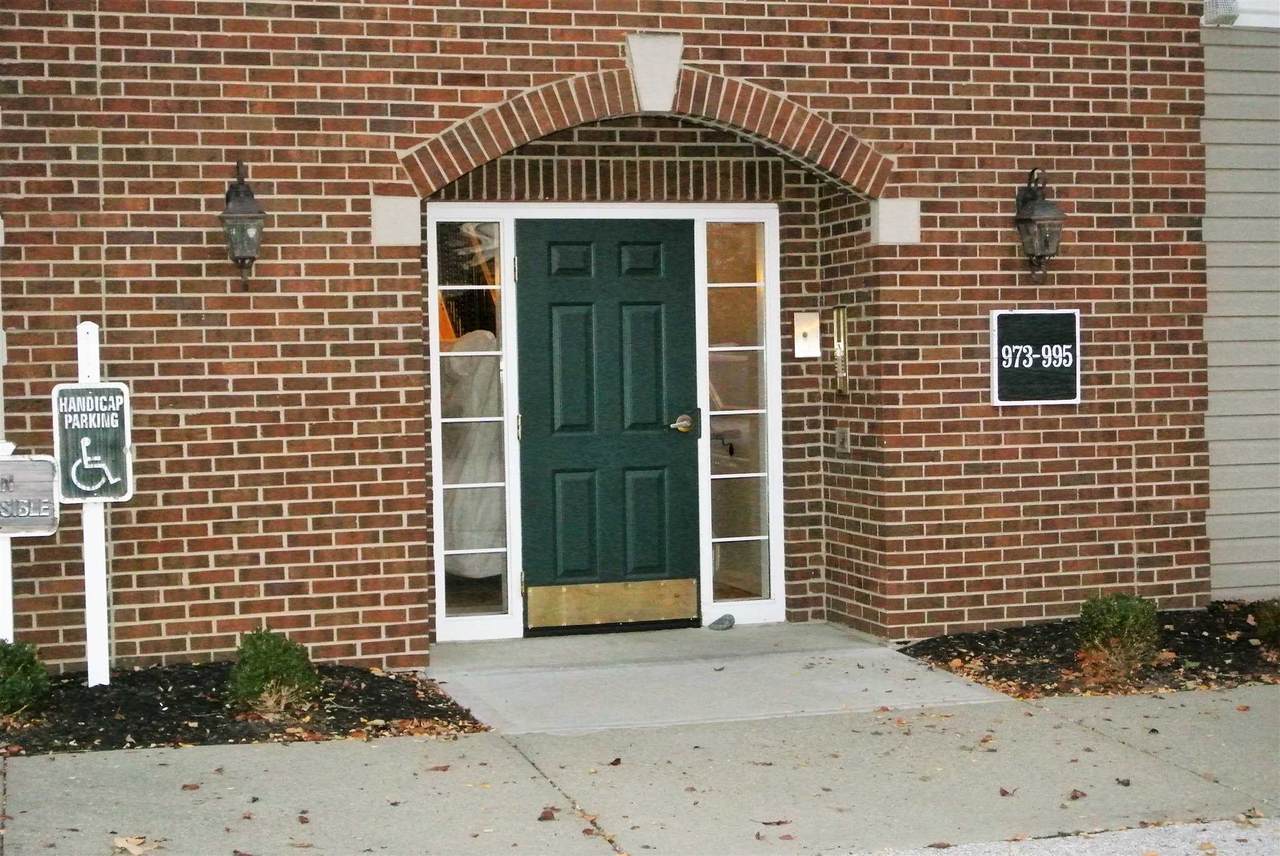 991 Mistflower Lane - Photo 1