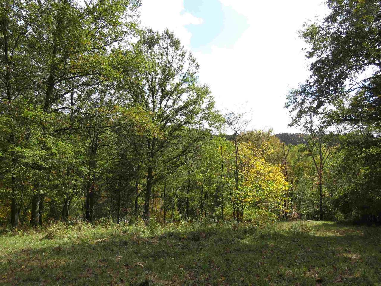 4492 Hathaway Road - Photo 1