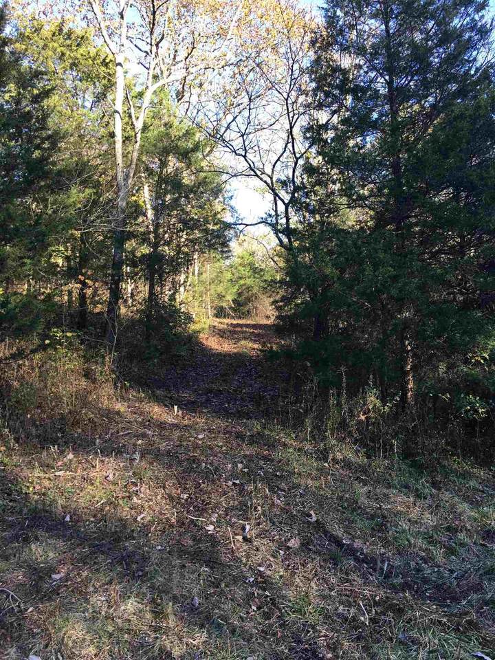 Swope Road - Photo 1
