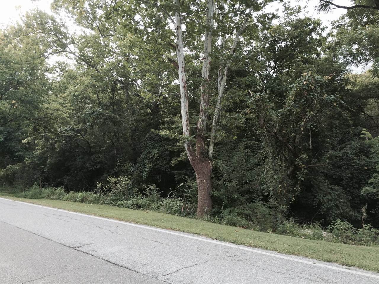 126 Three Mile Road - Photo 1