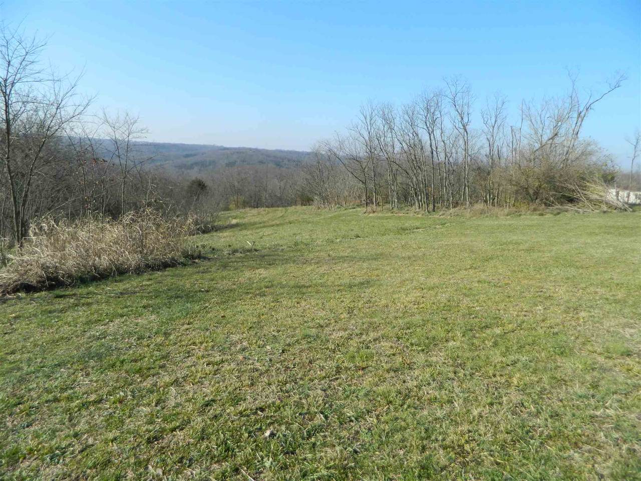 Lenoxburg Foster Road - Photo 1