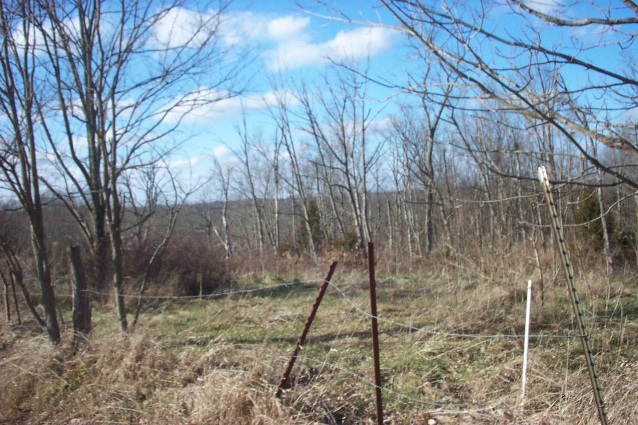 7.9 acres Ky Hwy 22 - Photo 1