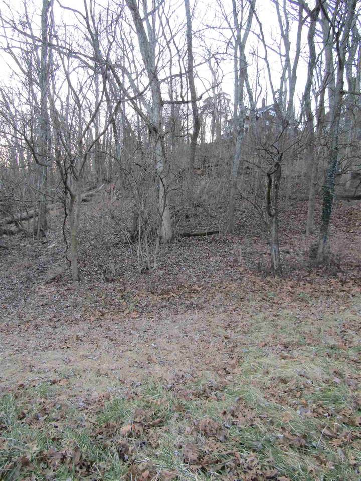 Burnet Ridge - Photo 1