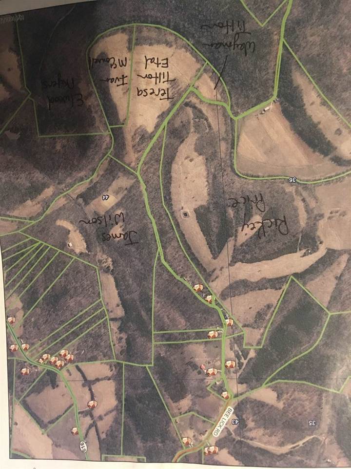 813 Bee Lick Ln. - Photo 1