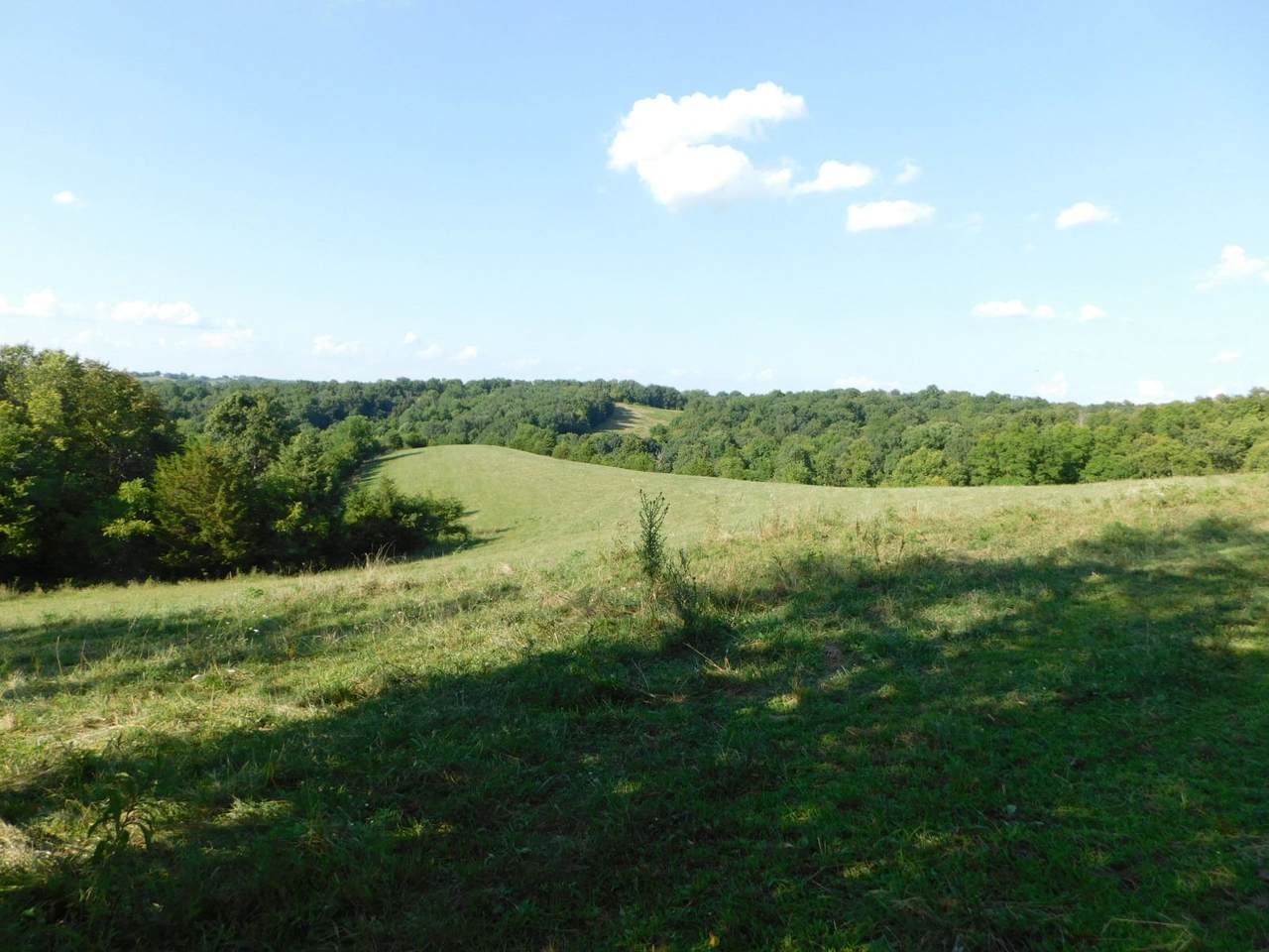 Morgan Creek Road - Photo 1