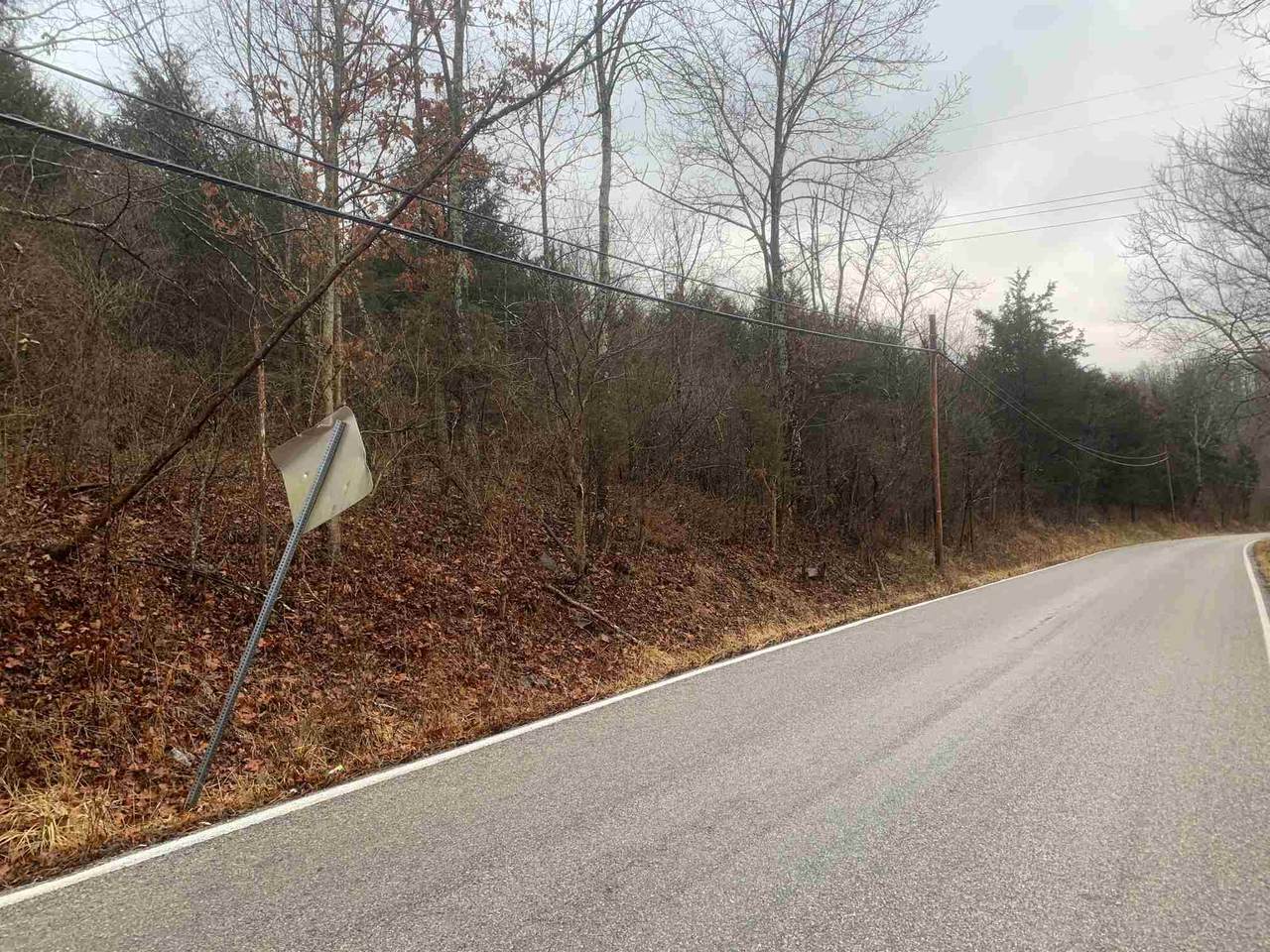 26.6 Acres Ky Hwy 27 - Photo 1