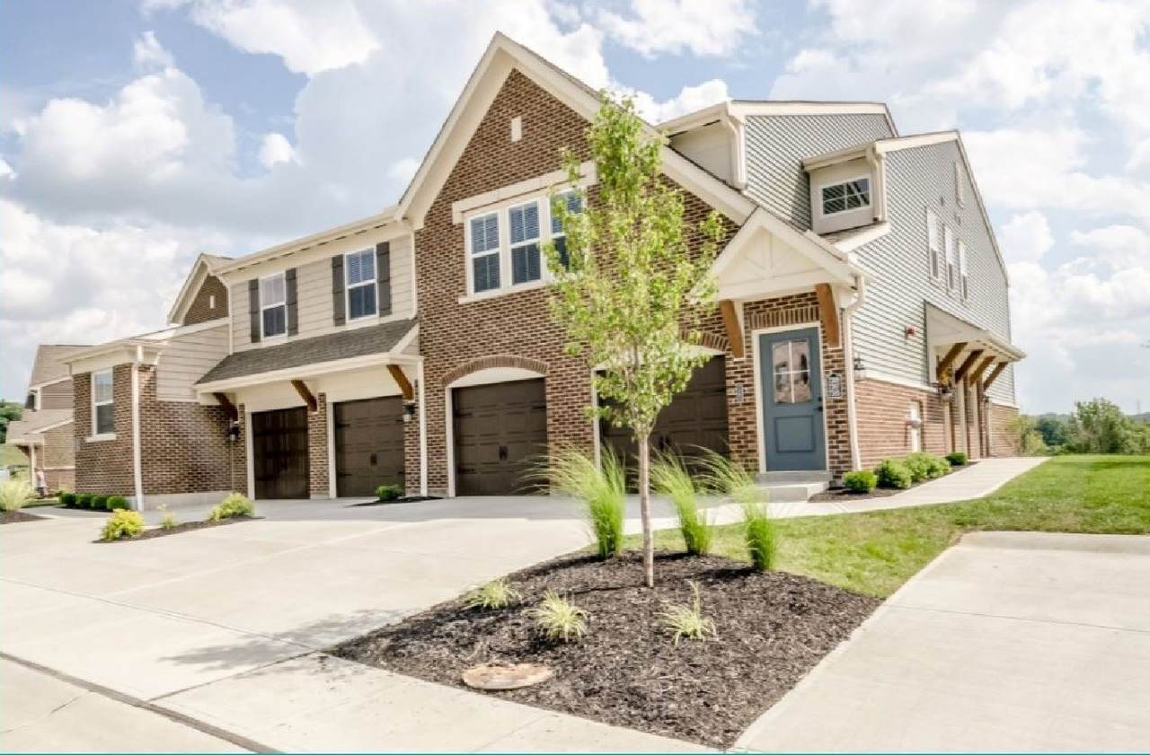 1184 Lemon Tree Lane - Photo 1