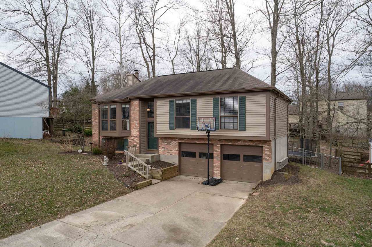 6779 Hillock - Photo 1