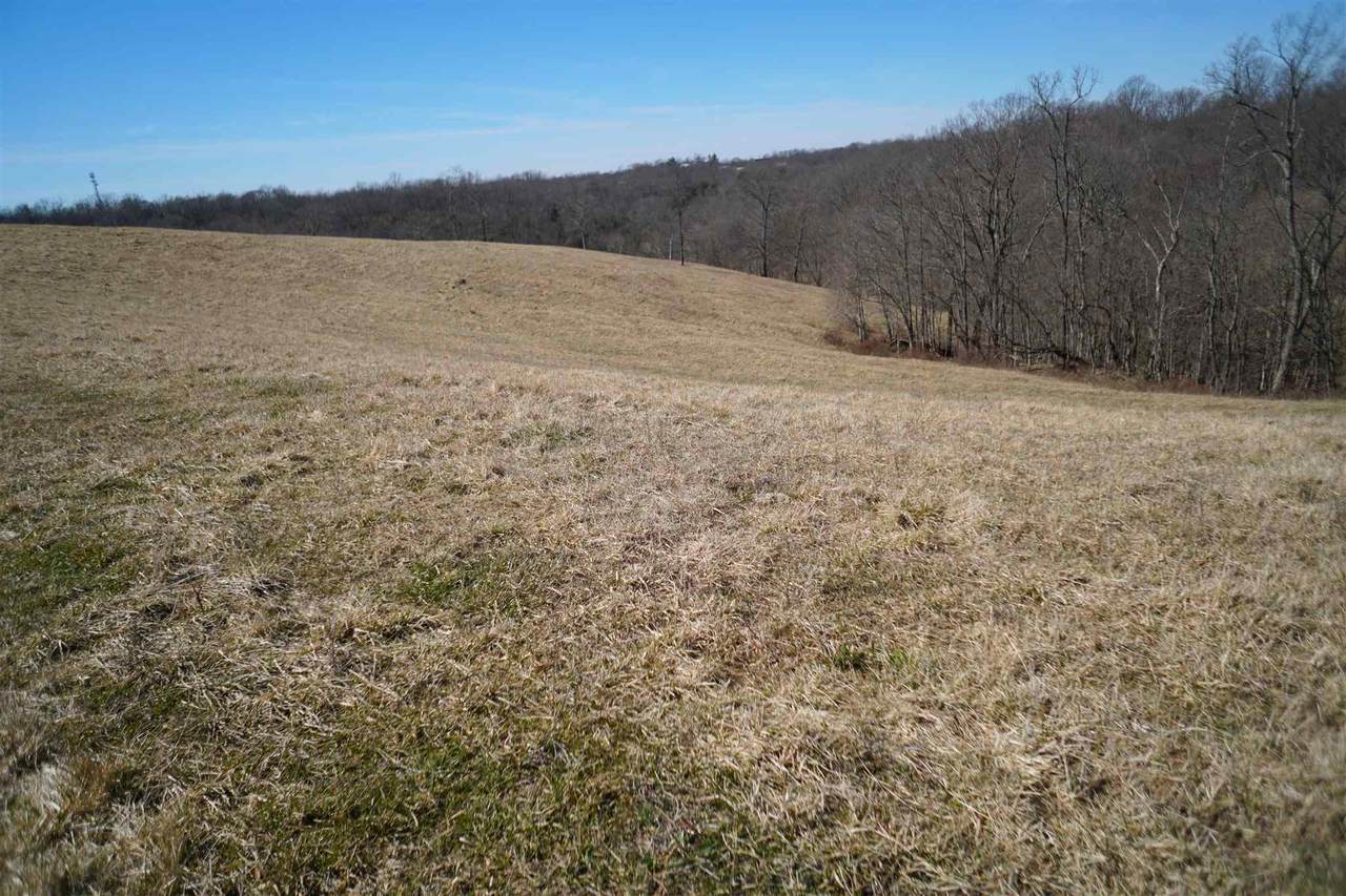 Tract #5 Stone Lane - Photo 1