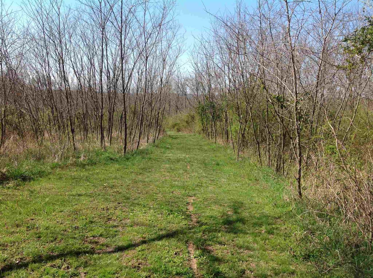 0 Johnsville-Foster Road - Photo 1