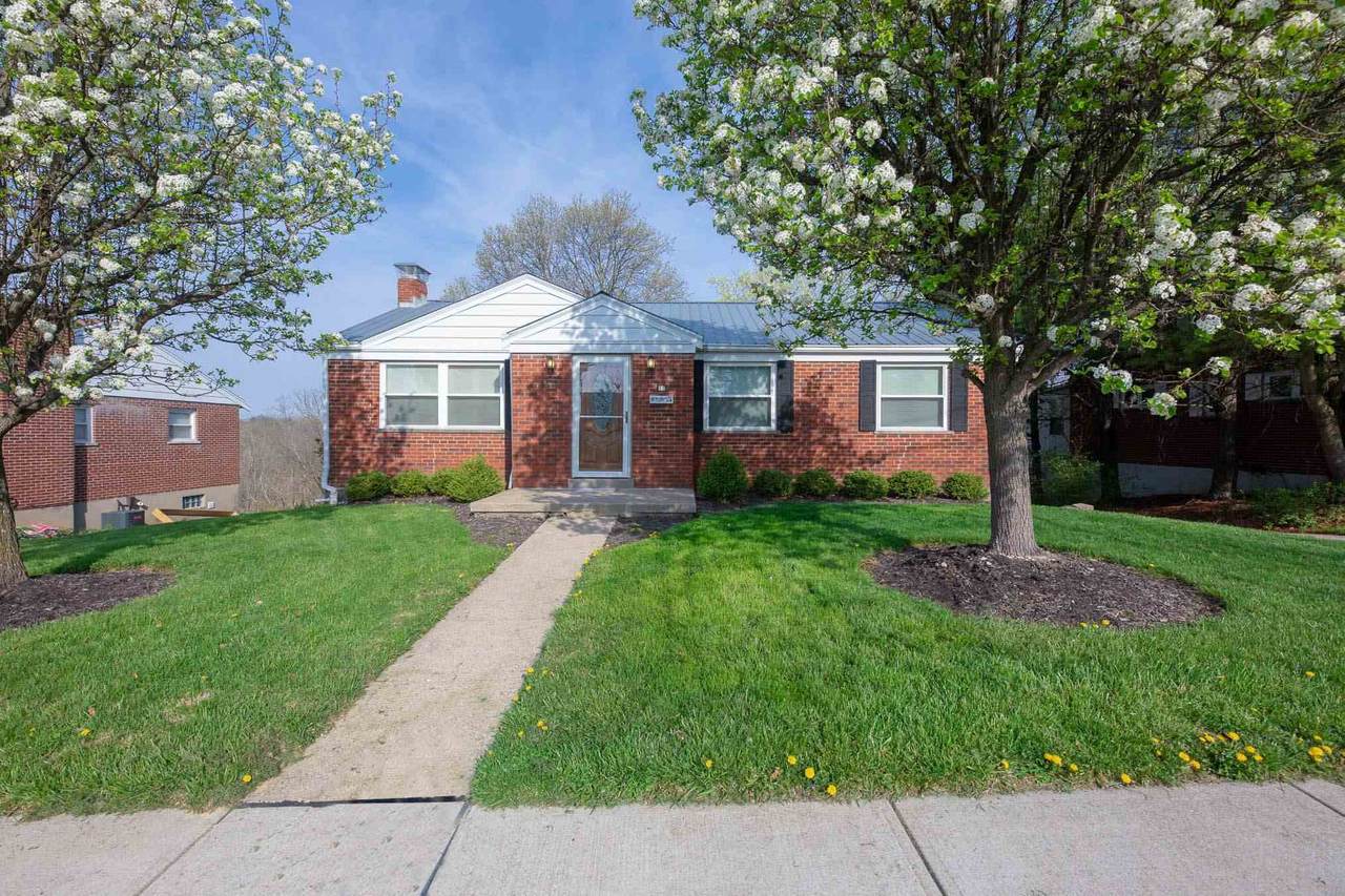 17 Shaw Drive - Photo 1