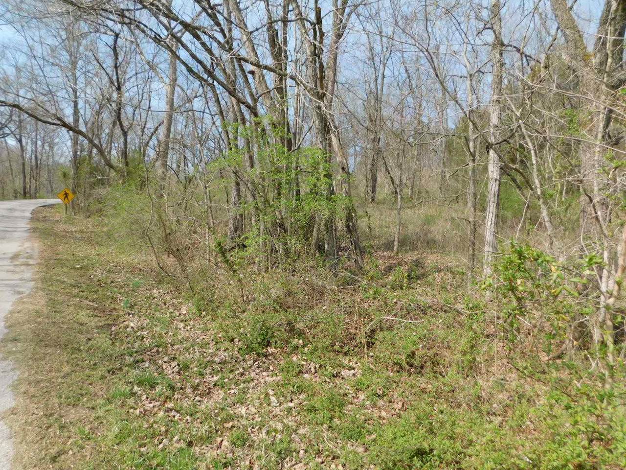 Turner Road - Photo 1