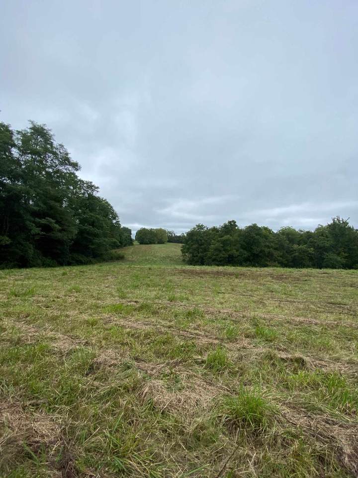 Tract 3 Baton Rouge Road - Photo 1