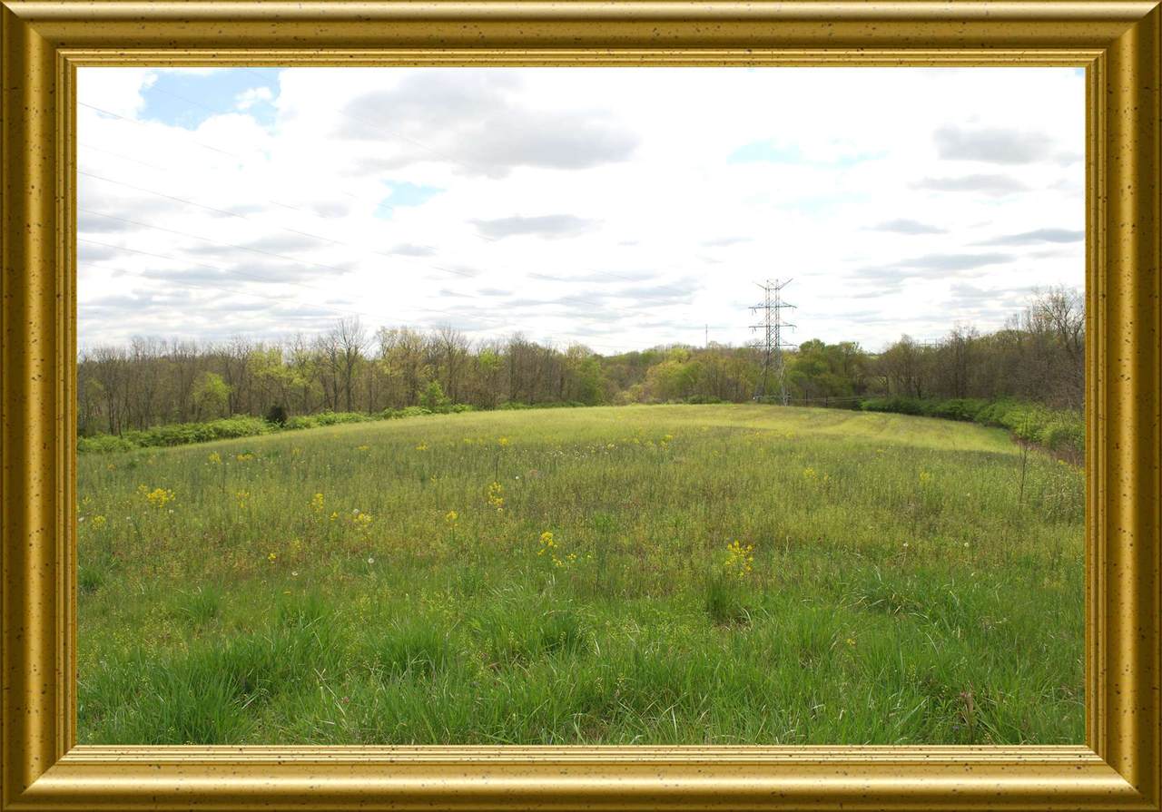 195 acres Germantown Rd (Rt 3056) - Photo 1
