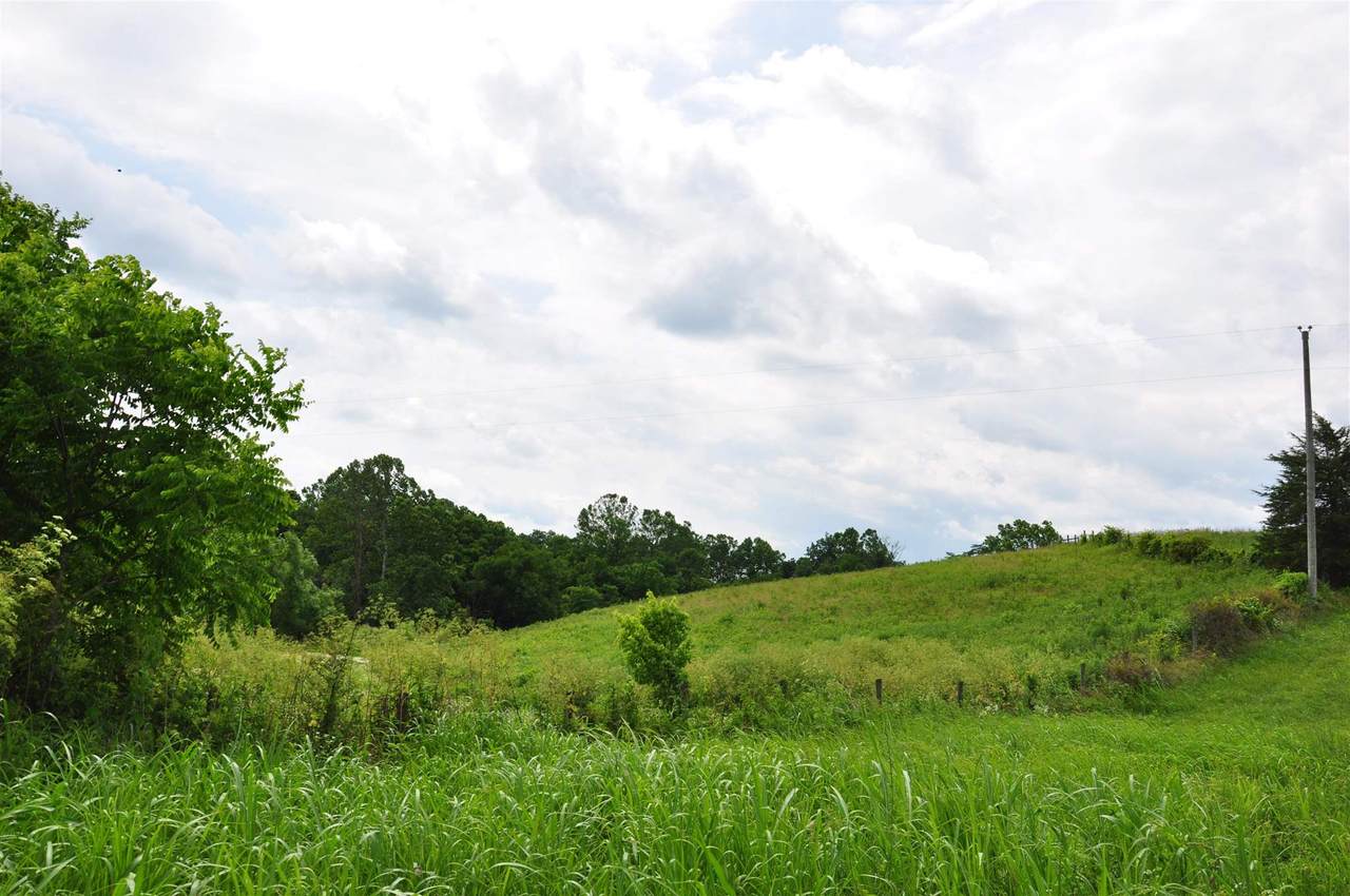 000 Abners Mill / Veale - Photo 1