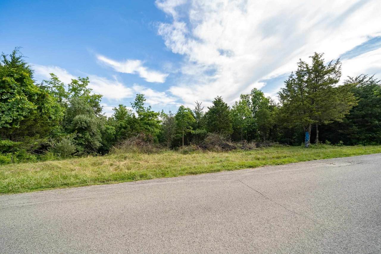 0 Humes Ridge Road - Photo 1