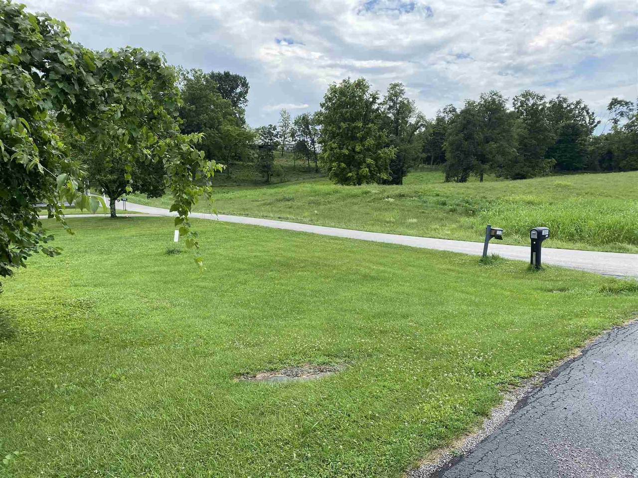 Lot 217 Washington Trace - Photo 1