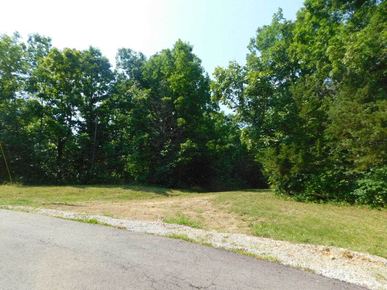 Fox Trail - Photo 1