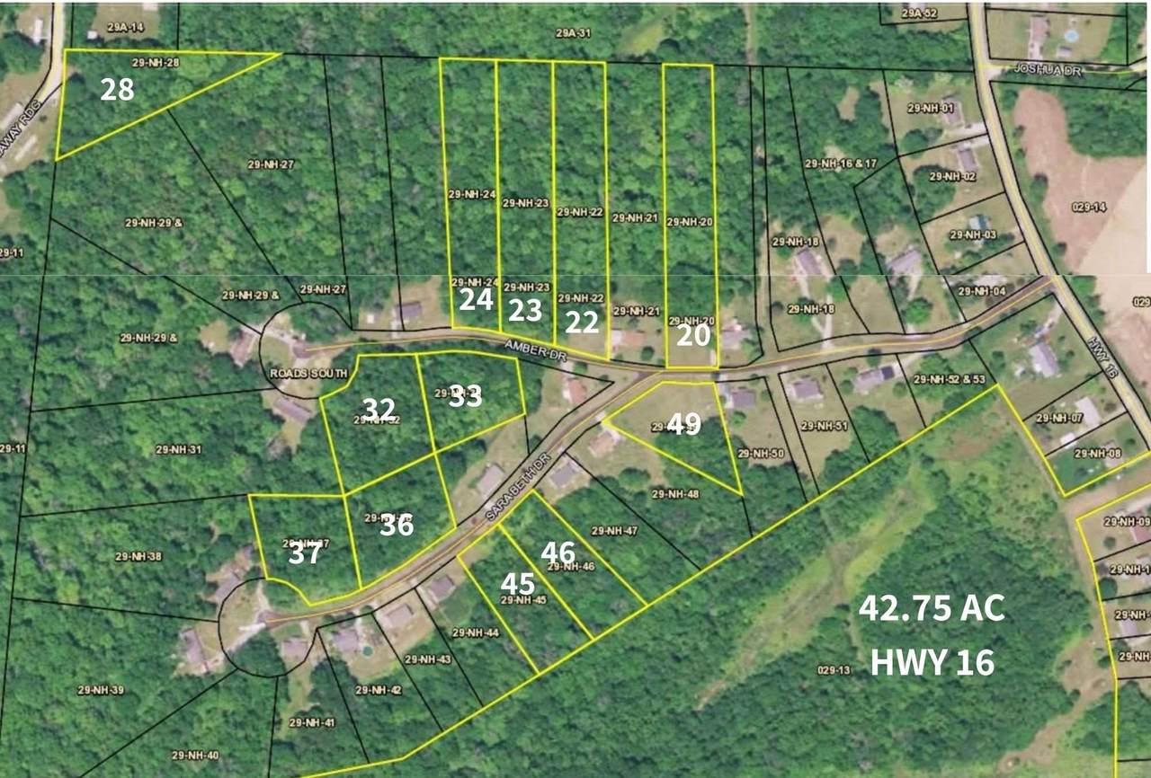 Lot 32 Amber Drive - Photo 1
