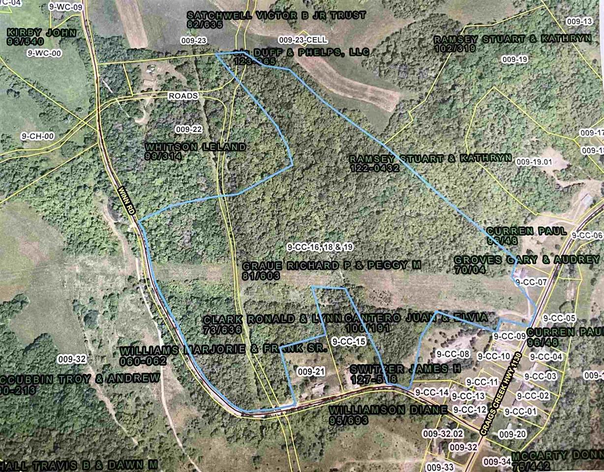 49.234 Acres Winn And Craigs Creek Rd Road - Photo 1