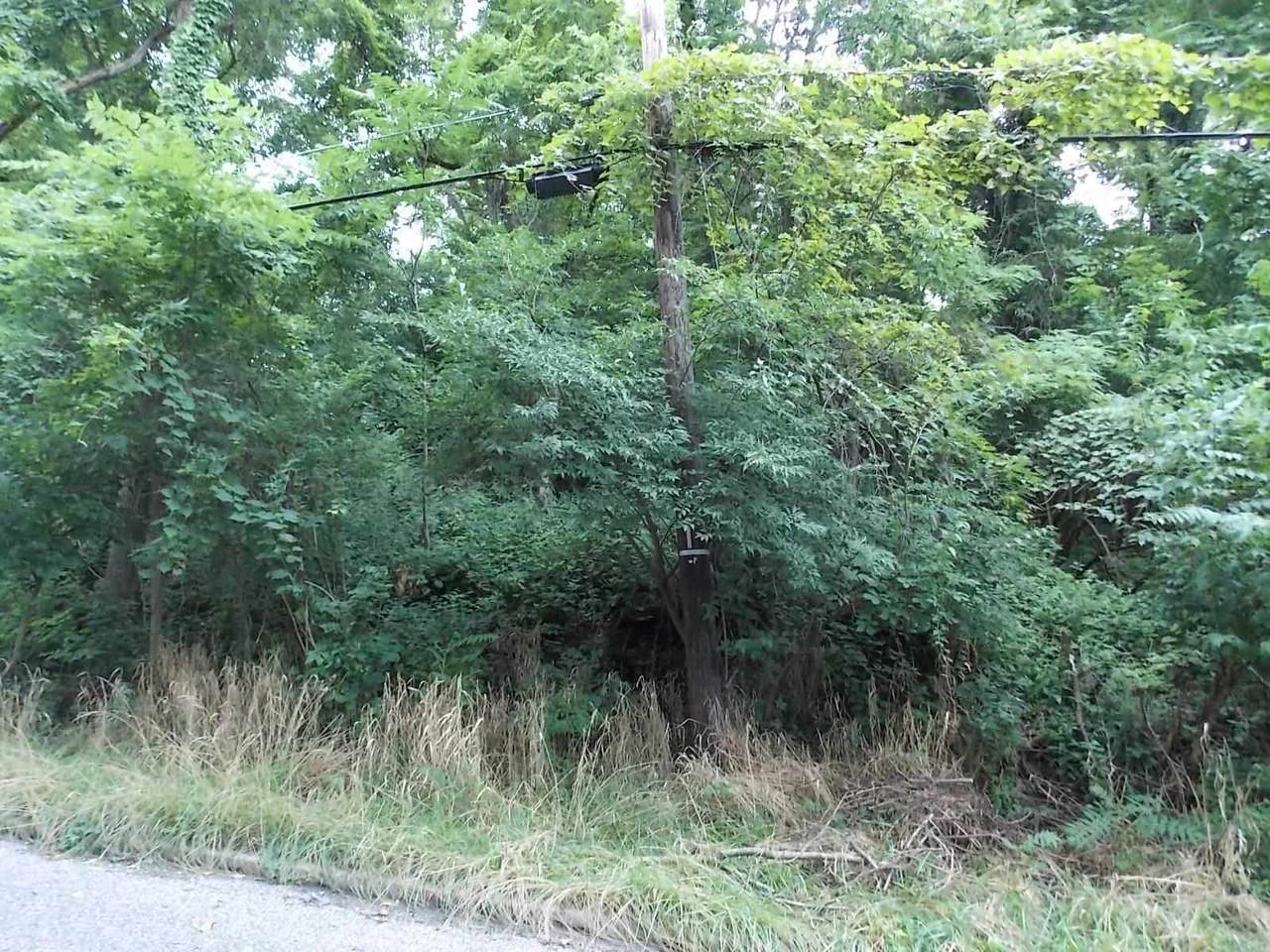 Amelia Street - Photo 1