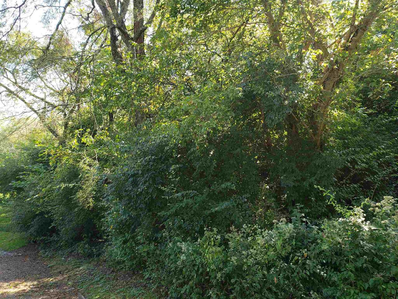 Lot 202 Lakeview Drive - Photo 1