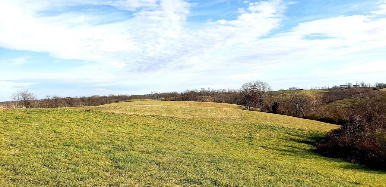 Tract 7 Waterworks Road - Photo 1