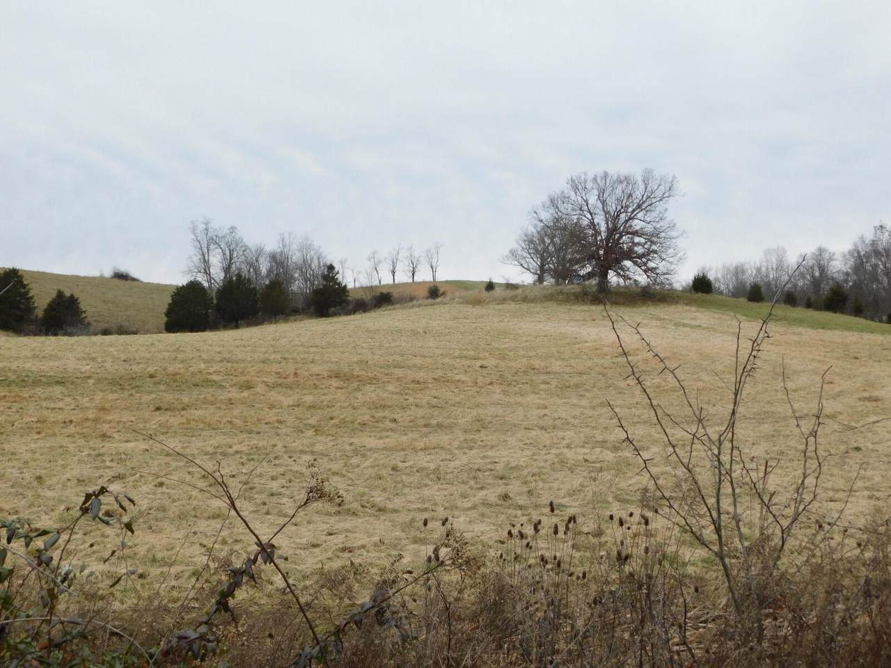 Lot 6 Owenton Road - Photo 1
