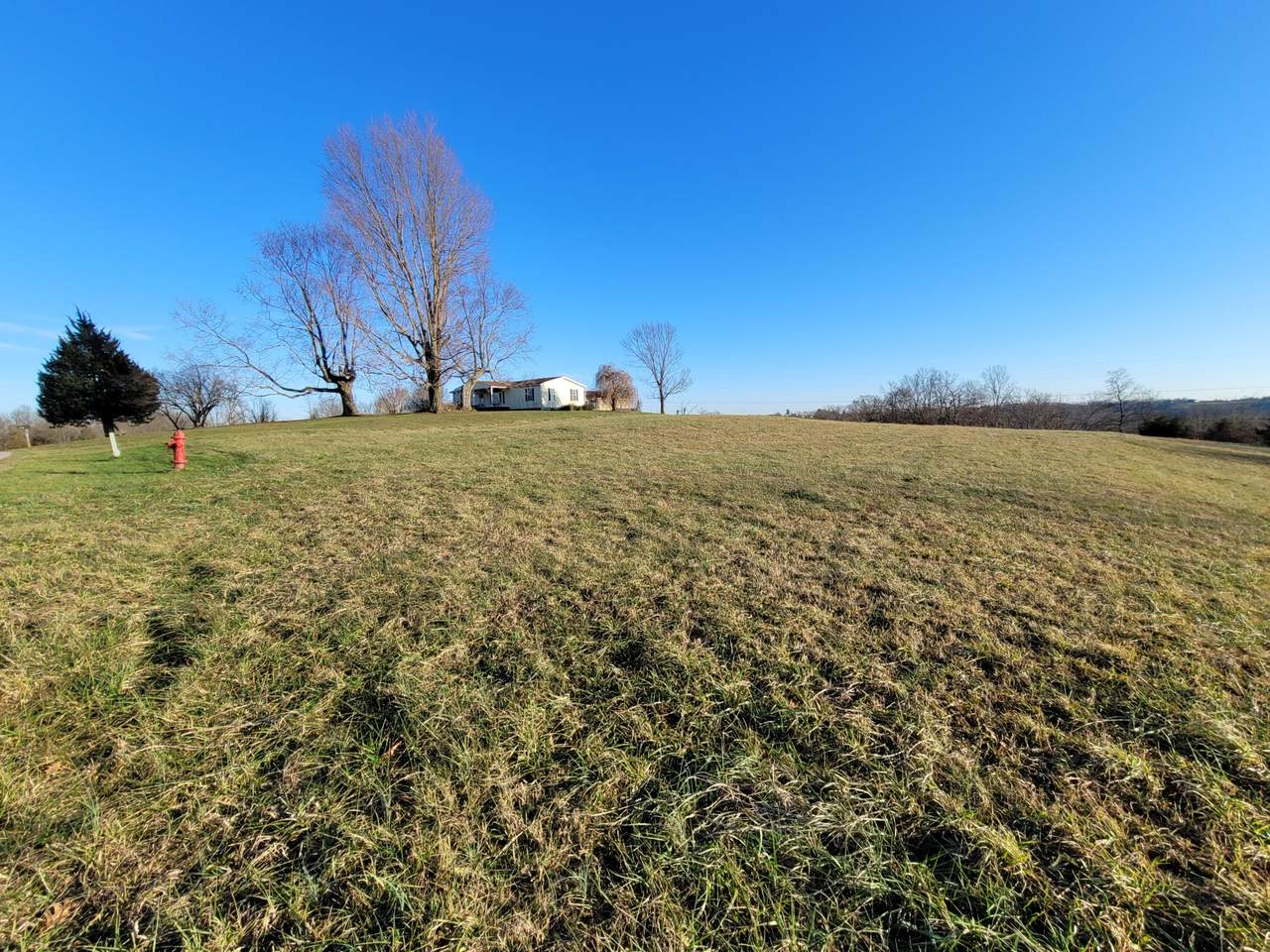 1115 Russell Flynn Road - Photo 1