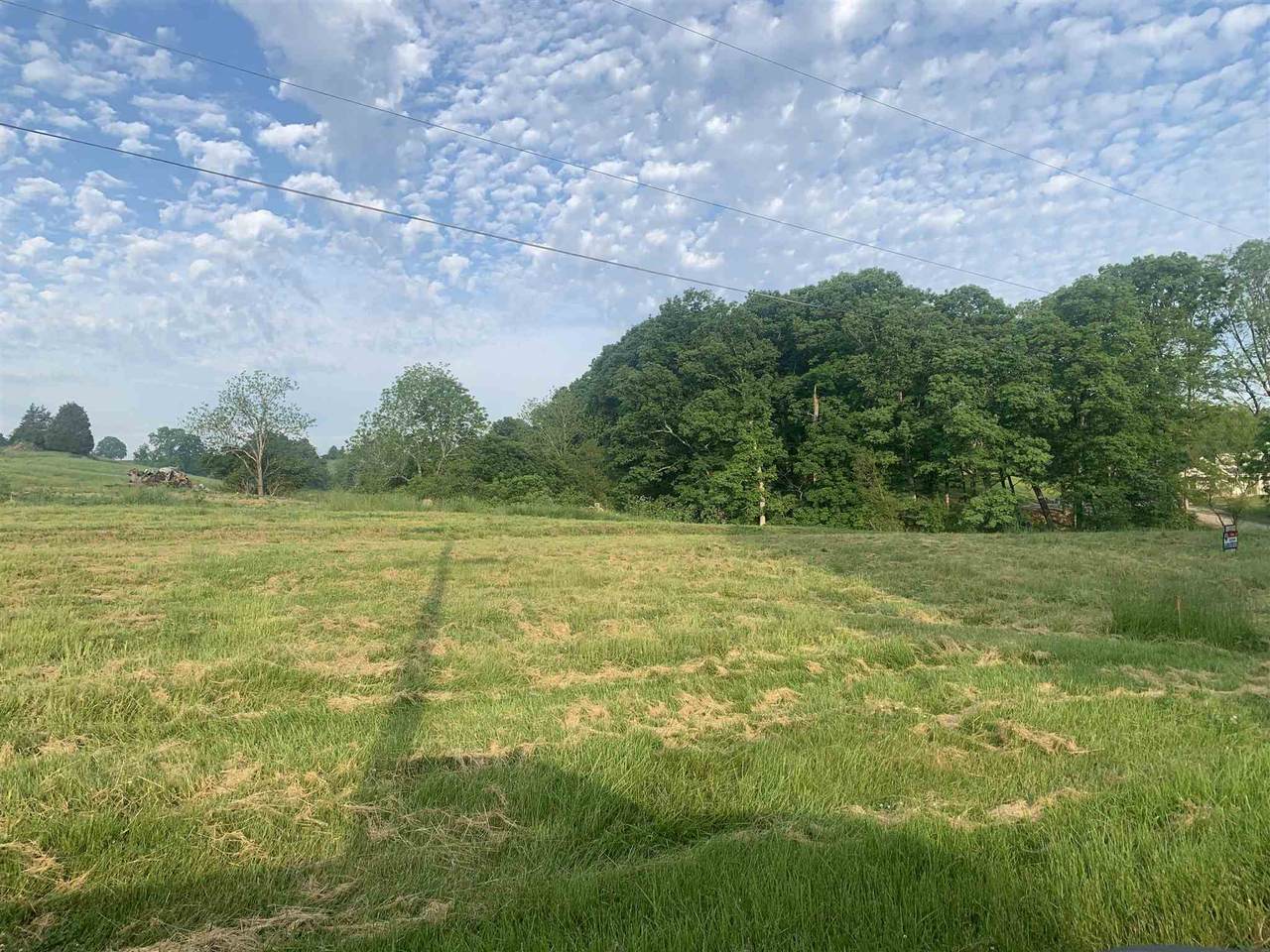 Lot 4 Jerry Wright Road - Photo 1