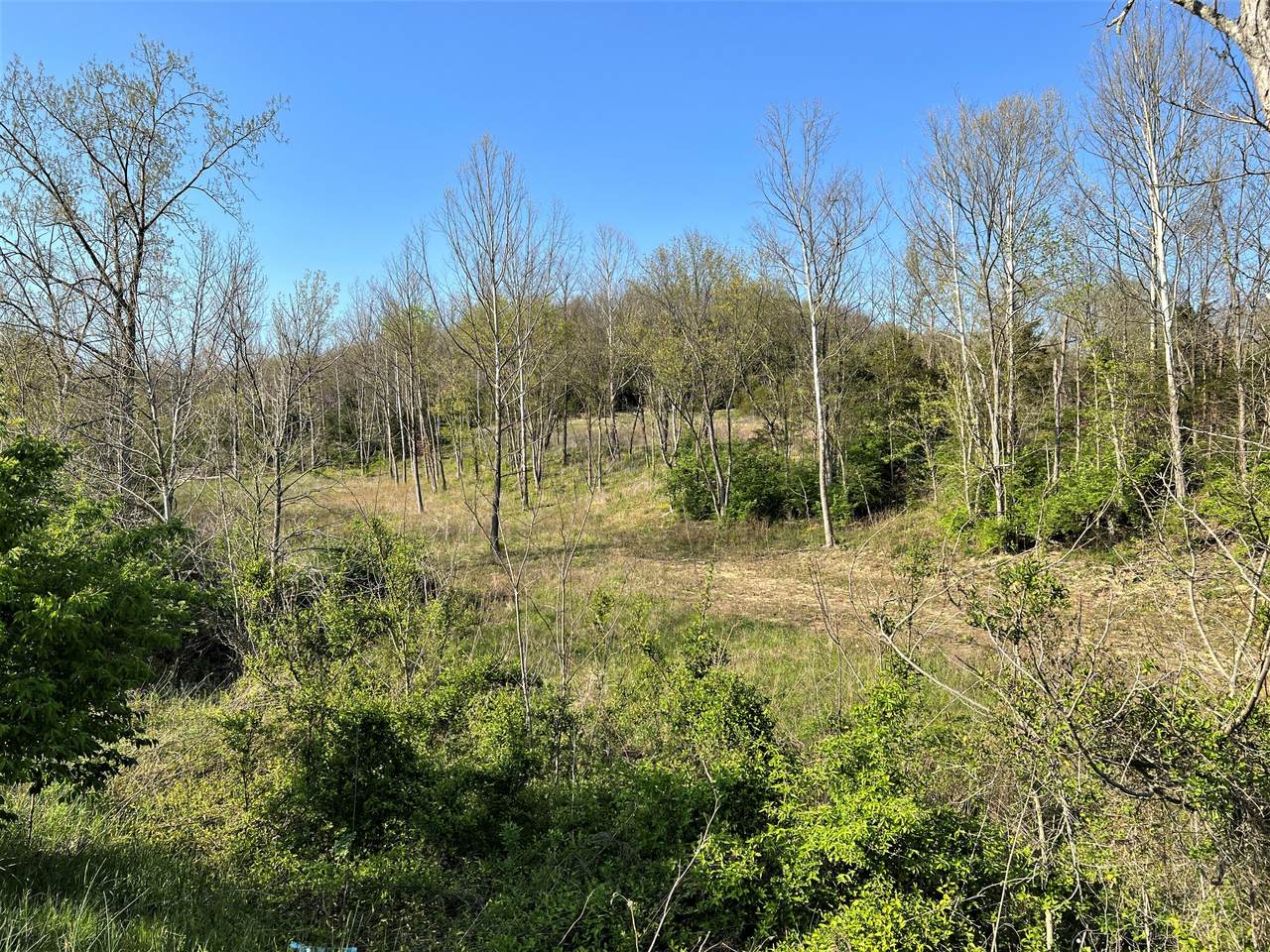 0 Hwy 127 & 16 - Photo 1