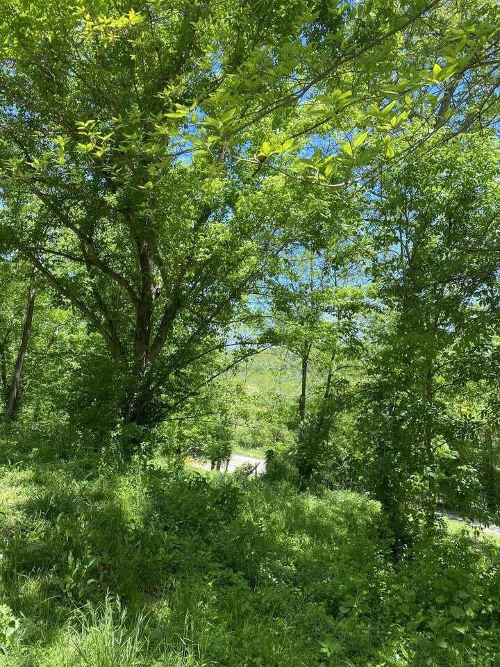 9699 River Road - Photo 1