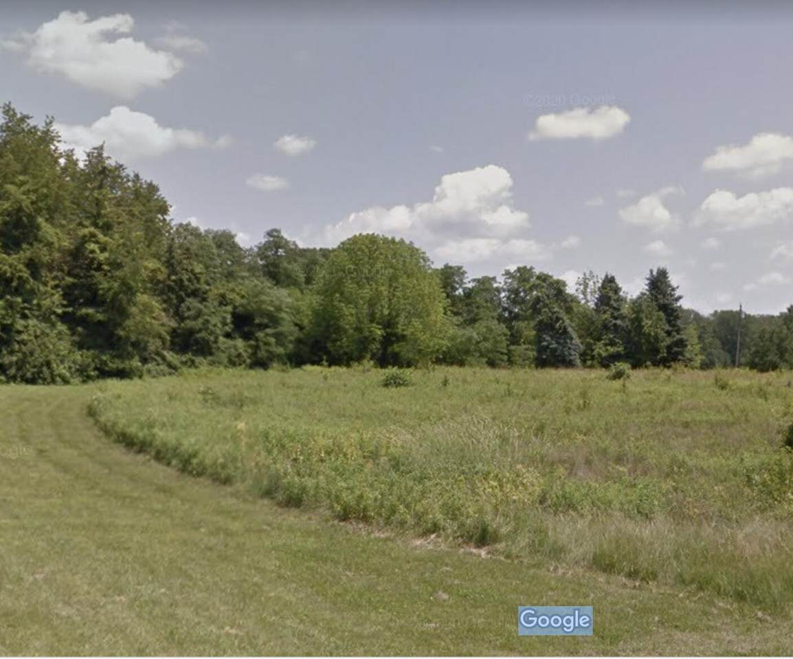 LOT #13 Frogtown Road - Photo 1
